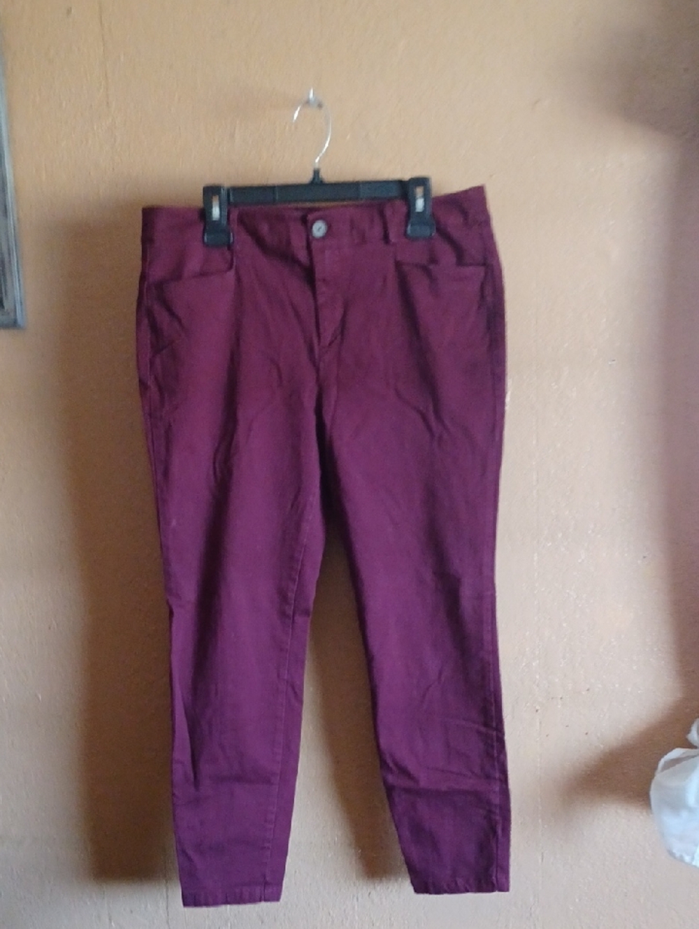 LOFT Plum Skinny Pants